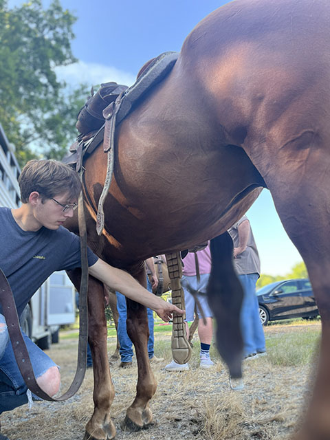 How to Saddle a Horse